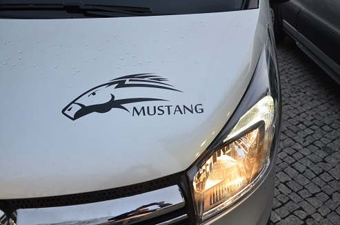 Mustang Przewozy Osobowe