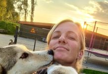 12 psów husky Danieli B. zginęło w męczarniach w transporterze – 4500 euro kary