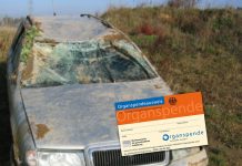 Dawstwo narządów w Niemczech – 5 faktów, które powinniście wiedzieć!
