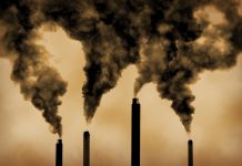 Alarm smogowy – wschodnie powietrze pełne toksyn zatruwa miasta. Niemcy obwiniają Polskę