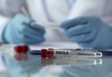 Czy Ebola dotrze także do Niemiec? WHO ostrzega przed dużą liczbą niewykrytych przypadków