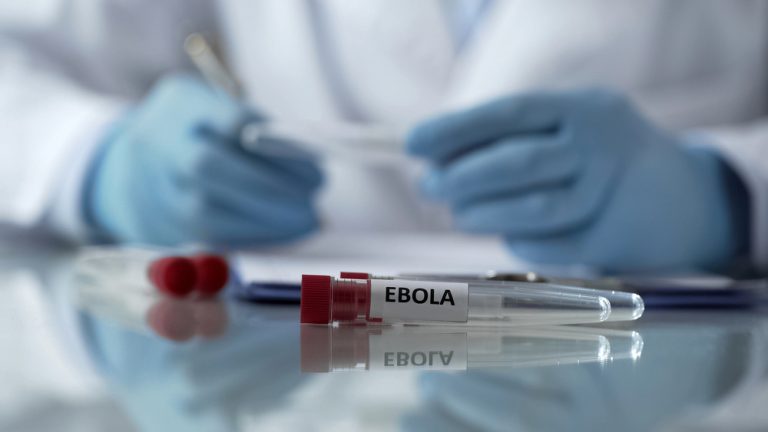 Czy Ebola dotrze także do Niemiec? WHO ostrzega przed dużą liczbą niewykrytych przypadków