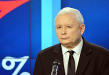 Niemcy analizują rządy PiS w Polsce. Widzą podobieństwa do rosnącego poparcia dla AfD