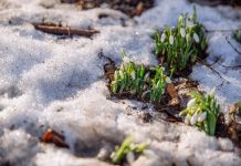 Wielkanocne poszukiwanie jajek w śniegu? Mróz, deszcz i śnieg wracają do Niemiec