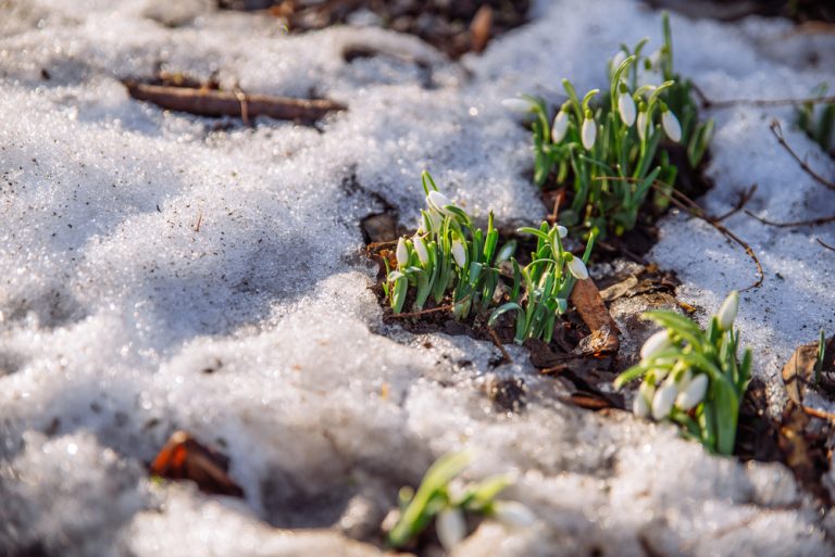 Wielkanocne poszukiwanie jajek w śniegu? Mróz, deszcz i śnieg wracają do Niemiec