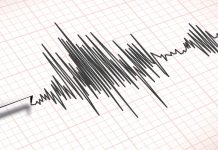 Trzęsienie ziemi o magnitudzie 4,2 w Niemczech – „Dom się zatrząsł”