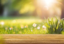 Wiosna uderza z pełną mocą w Niemcy. Nawet 21 stopni jeszcze w tym tygodniu!