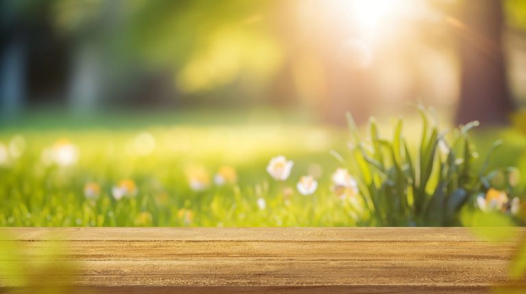 Wiosna uderza z pełną mocą w Niemcy. Nawet 21 stopni jeszcze w tym tygodniu!