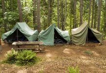 Niemcy: Setki ofiar przemocy seksualnej w chrześcijańskim ruchu harcerskim. Raport ujawnia skalę nadużyć