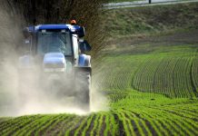 Prezes Państwowego Związku Rolników wzywa do podwyżki cen żywności z Niemiec