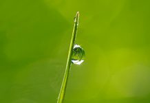 Desiderata tekst – przepis na życie!