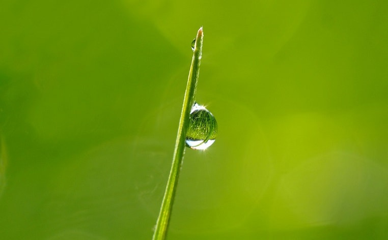 Desiderata tekst – przepis na życie!
