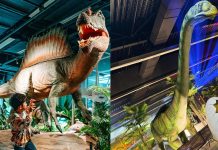 Największe dinozaury Europy w Niemczech — interaktywna wystawa przyciągnie setki tysięcy odwiedzających