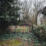 Dom prawnika, któremu ucięto genitalia