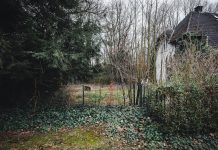 Niemcy: Prawnik z odciętym penisem znaleziony martwy w swoim domu