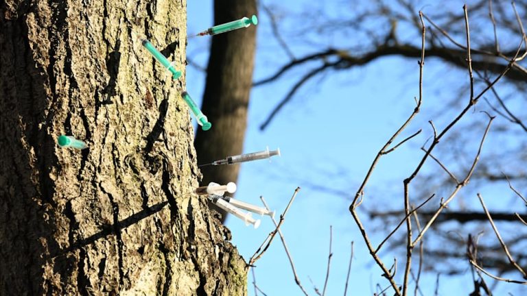 Drzewo pełne zużytych strzykawek w Berlinie. Niepokojący widok wraca mimo interwencji służb
