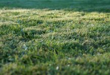 Działka budowlana w Niemczech – wszystko co musicie wiedzieć o jej zakupie!