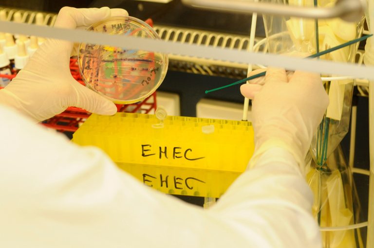 Epidemia EHEC w Niemczech: rośnie liczba zakażeń, są pierwsze ofiary śmiertelne