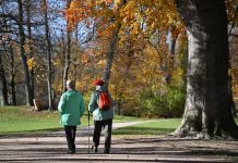 Niemcy: prognoza emerytur do 2039 roku – świadczenia wzrosną średnio o 2,8% rocznie