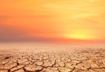 Światowa Organizacja Meteorologiczna: do 2027 roku temperatury wzrosną do rekordowych poziomów