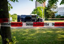 Mężczyzna zastrzelony w Erfurcie – policyjna akcja na szeroką skalę, sprawca może być uzbrojony