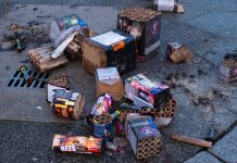 Federalna Unia Ochrony Przyrody wzywa ludzi do unikania fajerwerków w Sylwestra