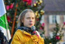 Greta Thunberg: „Niemieckie elektrownie atomowe powinny nadal działać”