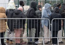 Niemcy przyznają prawo pobytu tysiącom migrantów bez ustalonej tożsamości – kontrowersje wokół „prawa do szansy”