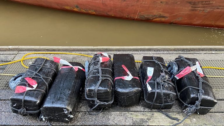 Dolna Saksonia: Policja zatrzymała nurków, którzy przemycali 280 kilogramów kokainy