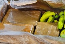 Niemcy: 500 kg kokainy w dyskoncie. Narkotyki warte 20 mln euro trafiły do sklepów przez pomyłkę