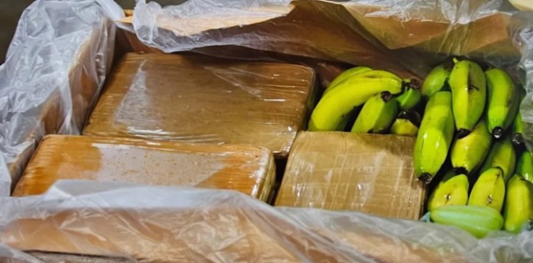 Niemcy: 500 kg kokainy w dyskoncie. Narkotyki warte 20 mln euro trafiły do sklepów przez pomyłkę