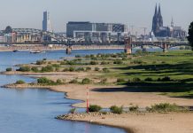 Niemcy: Nadchodzi ekstremalne lato? Meteorolodzy ostrzegają przed upałami i suszą