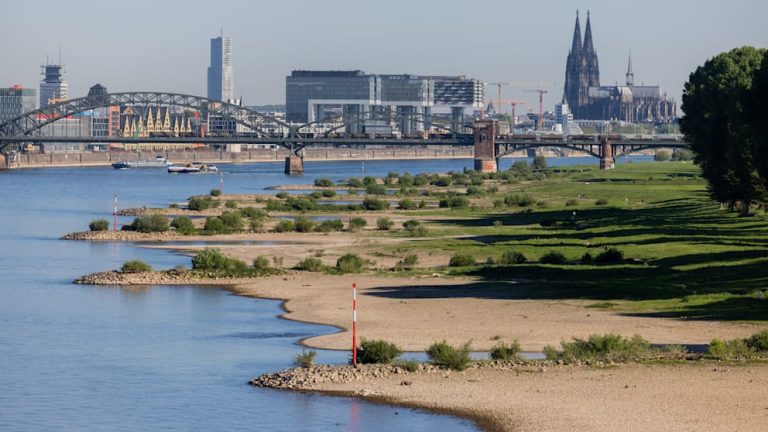 Niemcy: Nadchodzi ekstremalne lato? Meteorolodzy ostrzegają przed upałami i suszą