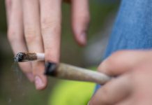 Niemcy: Częściowa legalizacja konopi wpływa na statystyki kryminalne