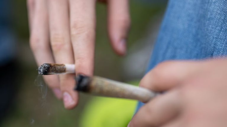 Niemcy: Częściowa legalizacja konopi wpływa na statystyki kryminalne