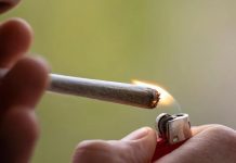 Berlin: Do 30 000 euro kary za naruszenia prawa dotyczącego konopi indyjskich