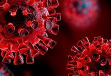 Niemcy: FDP żąda wyjaśnień ws. zakupów szczepionek przez ministra Lauterbacha