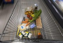 Nowe przepisy UE dotyczące wylesiania. Niemiecki handel obawia się skoku cen w sklepach