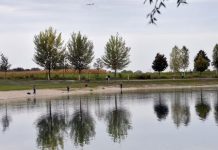 Spacerowiczka znalazła martwą osobę na terenie obszaru rekreacyjnego w Erding