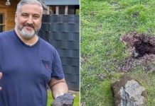 Niemcy: Na ogród Mahmuta Sahina spadł meteoryt o wartości 400 000 euro!