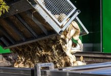 Dramat na fermach drobiu w Brandenburgii — 130 tysięcy zwierząt zostanie wybitych z powodu ptasiej grypy