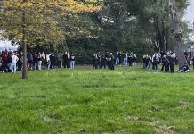 40 zaangażowanych osób: Masowa bójka na otwarciu beach baru w Neubrandenburgu!