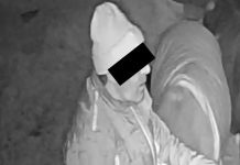 Niemcy: Uchodźca znęcał się nad kilkoma kucykami