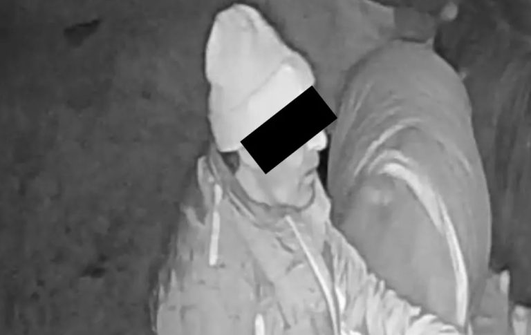 Niemcy: Uchodźca znęcał się nad kilkoma kucykami