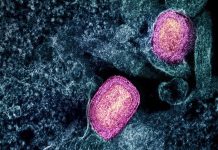 W Niemczech rozprzestrzenia się nowy wariant Mpox – rodzina z dziećmi poddana kwarantannie