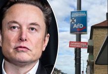 Elon Musk krytykuje niemiecką politykę migracyjną i udostępnia post popierający AfD