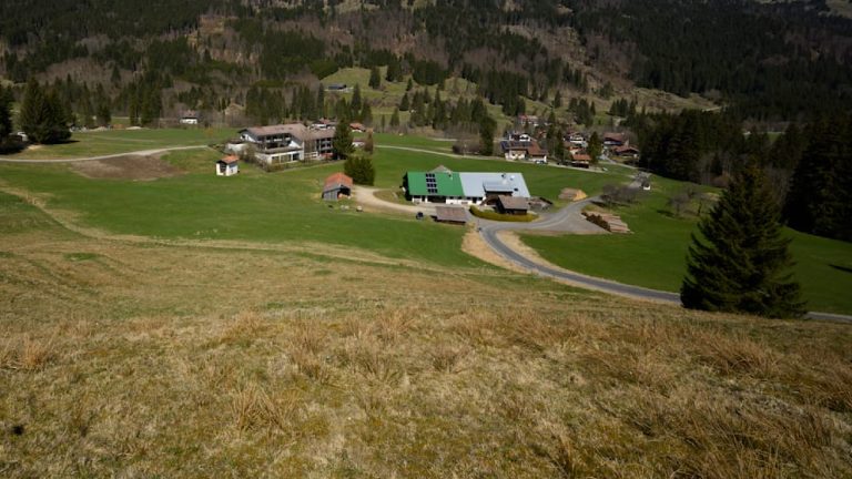 Niemcy: We wsi liczącej 79 mieszkańców ma zostać zakwaterowanych do 45 uchodźców