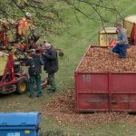 Niemcy jest pomysł na bezrobotnych powinni zbierać śmieci