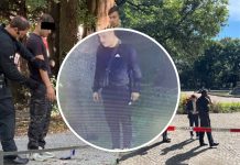 Niemcy poszukują Polaka, który zabił w Monachium 57-latka kopnięciem kung-fu