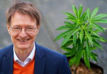 Niemcy zalegalizują marihuanę. Legalnie będzie można posiadać do 25 gramów marihuany